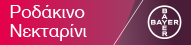 Ροδάκινο - Νεκταρίνι
